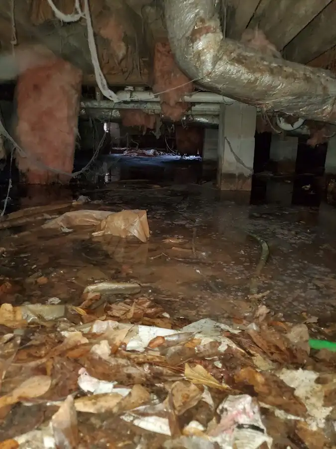 Crawl space flood assessment for Commercial Water Damage Restoration in Windsor