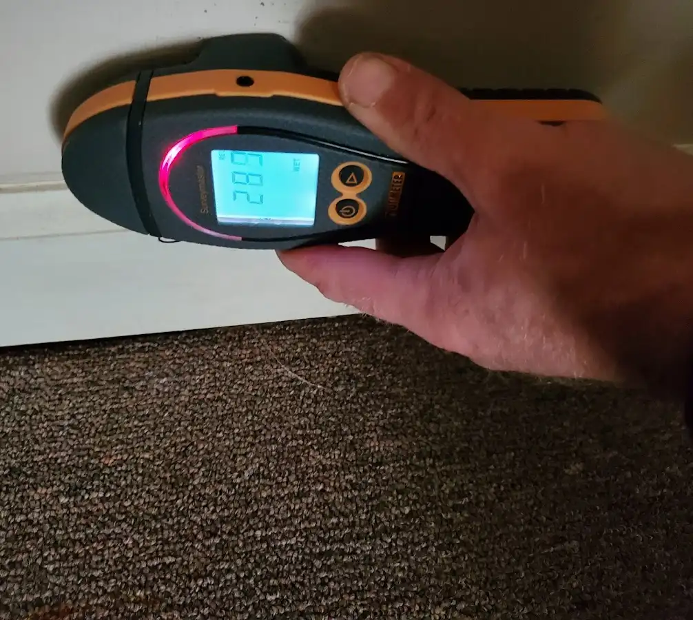 Moisture detection at baseboard during Burst Pipe Cleanup in Windsor